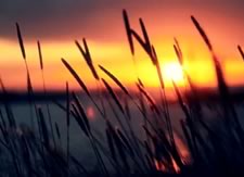 A Short Film: Fragments of Iceland