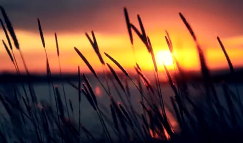 A Short Film: Fragments of Iceland